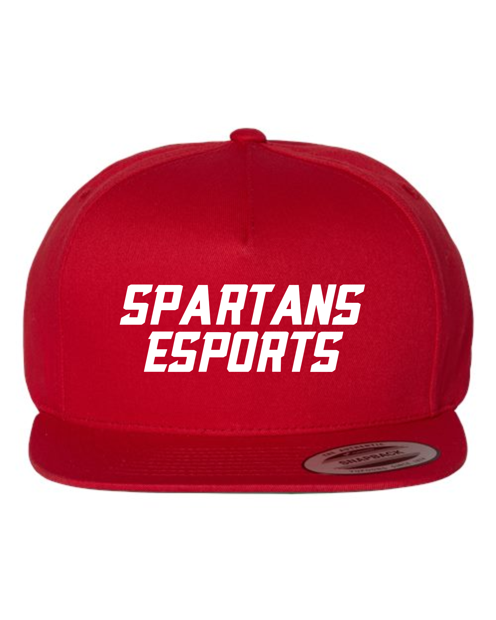 Bixby Esports YP Classics Flat Bill Caps