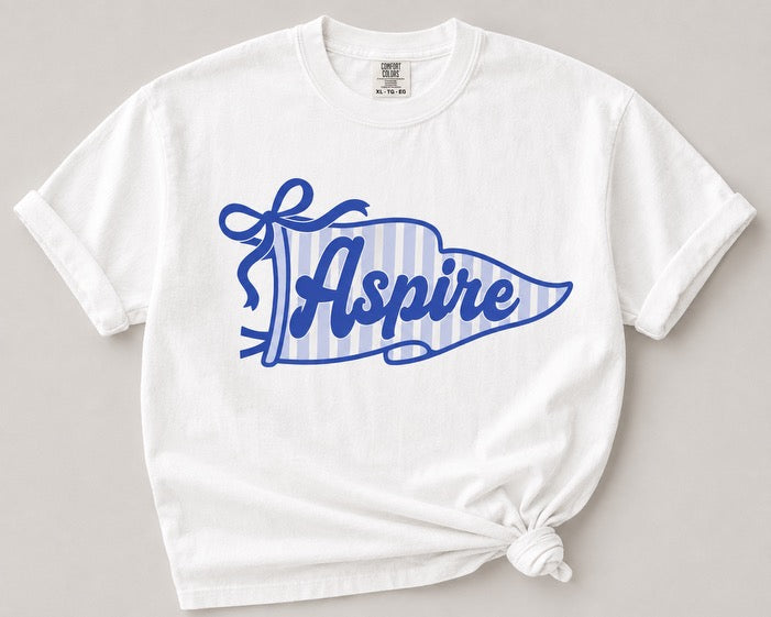 Aspire Striped Pennant Shirts