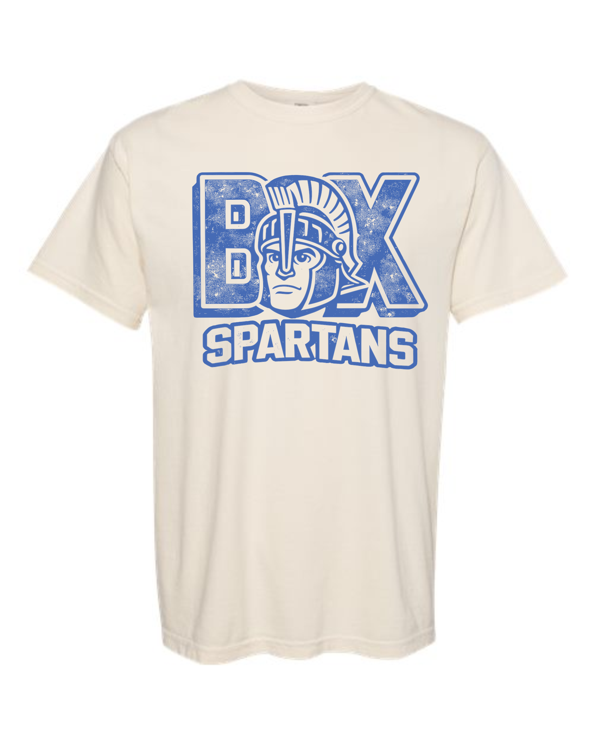 Vintage BIX Spartan Head Comfort Colors