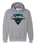 Esports Shield Hoodies