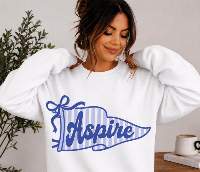 Aspire Striped Pennant Shirts