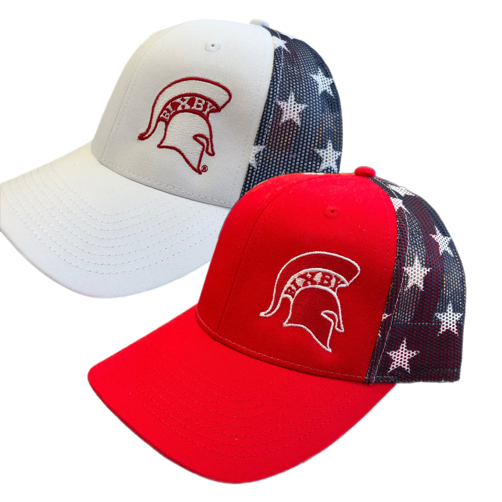 Spartan Flag Snapback Hats