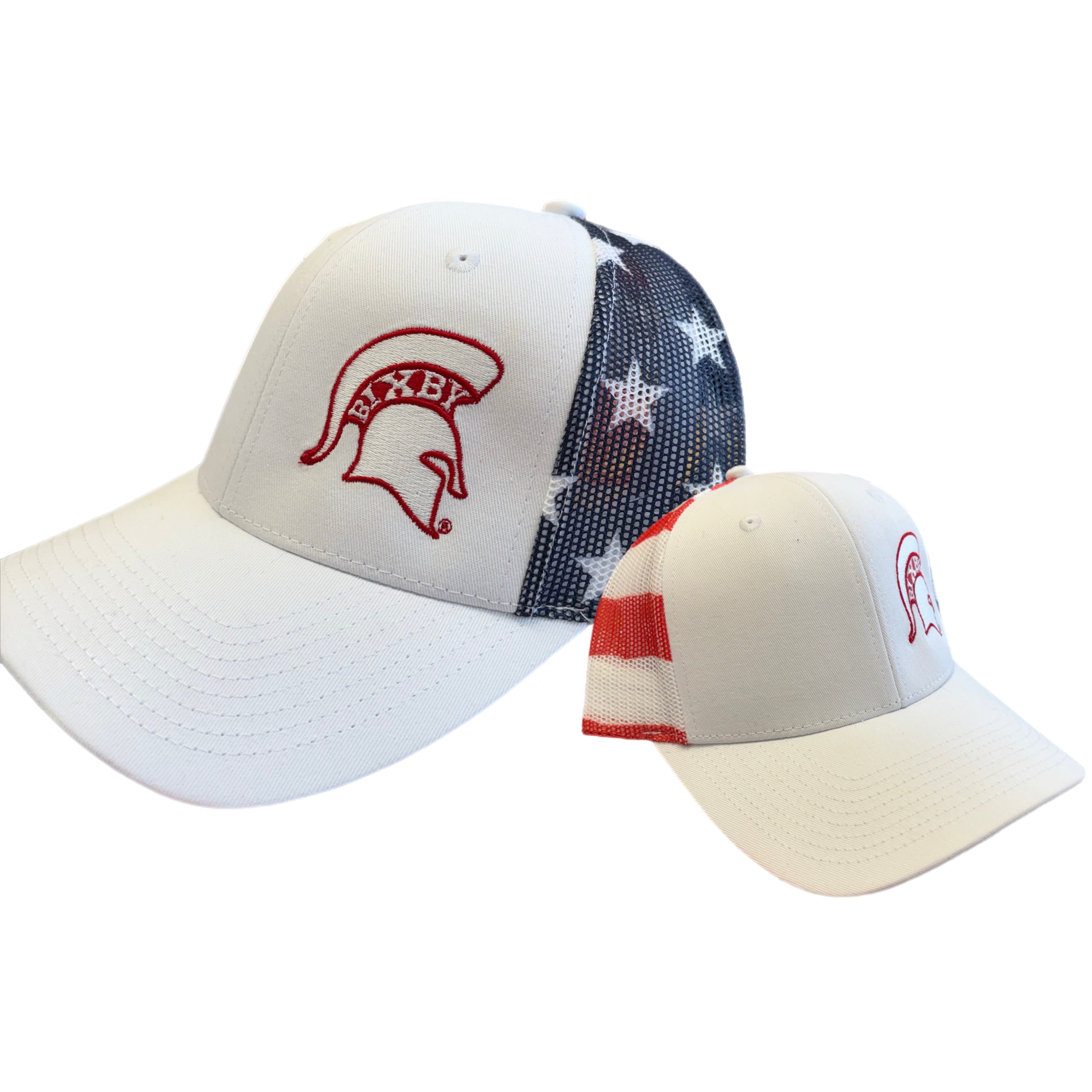 Spartan Flag Snapback Hats