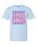Bixby Cabana Stripes SoftStyle LT BLUE