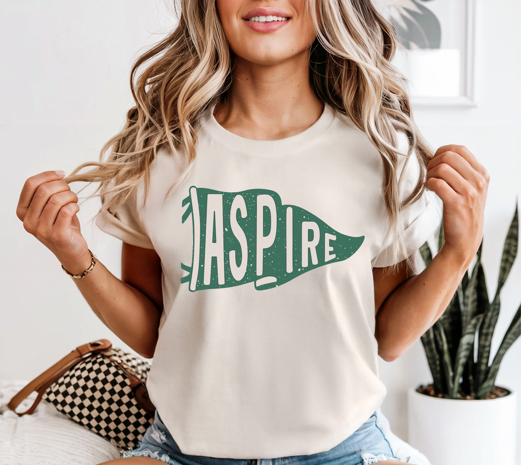 Aspire Pennant T-Shirts
