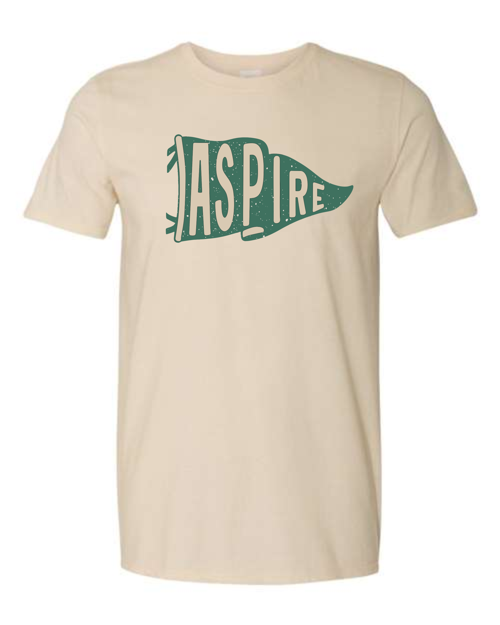 Aspire Pennant T-Shirts
